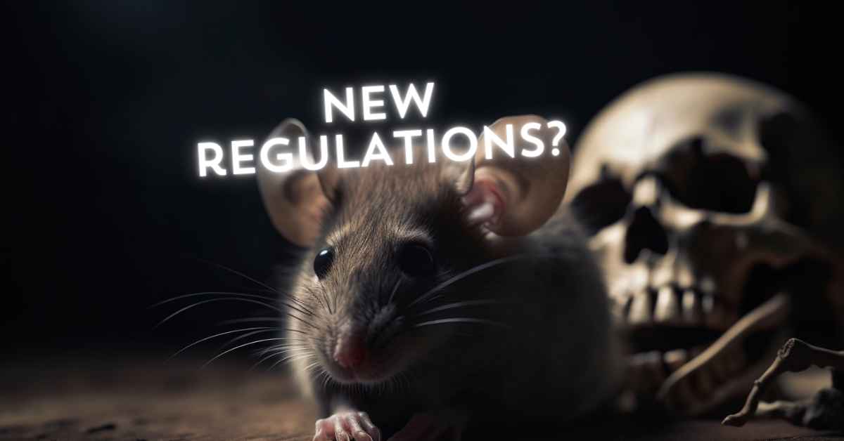 Challenges in obtaining a gaming license