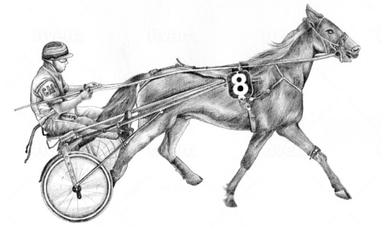 horse How is this different from a Curacao license?